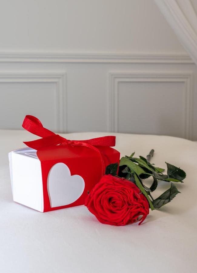 La Bastide Du Rocher Boutique Hotel & Spa 罗克布伦河畔阿尔让 外观 照片